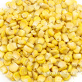 FD Super Sweet Corn kernel beku kering